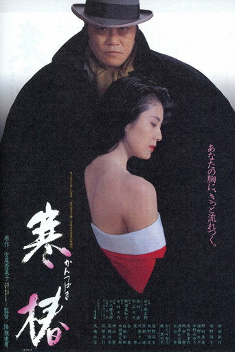 寒椿海报