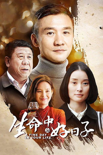 生命中的好日子海报