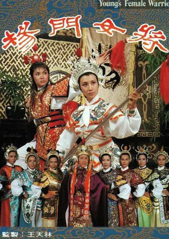 杨门女将海报