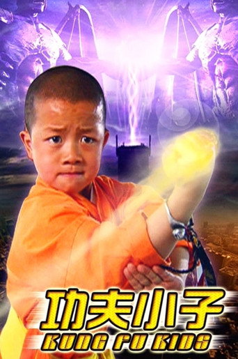 功夫小子海报