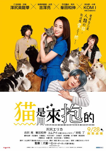 猫是要抱着的海报