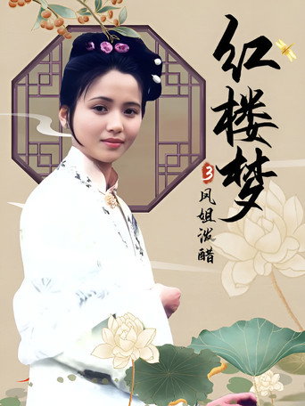 红楼梦第三部：凤姐泼醋海报