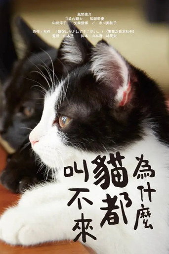 为什么猫都叫不来海报