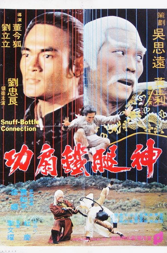 神腿铁扇功海报