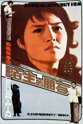 陌生的朋友海报