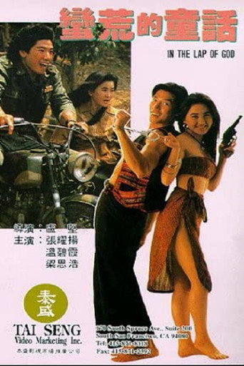 蛮荒的童话海报