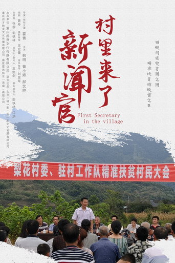 村里来了新闻官海报