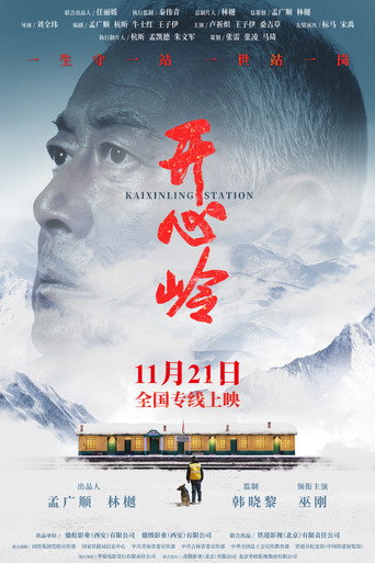 开心岭海报
