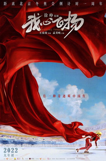 我心飞扬海报