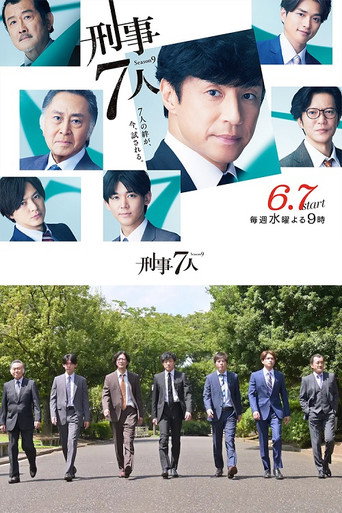 刑警七人 第 9 季海报