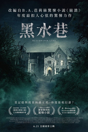 黑水巷海报