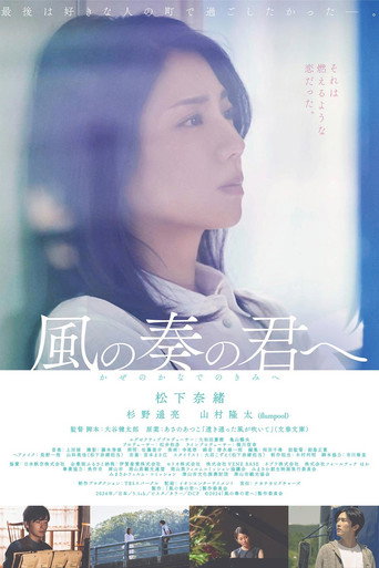 致演奏风的你海报