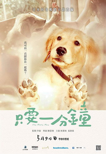 我的男友和狗海报