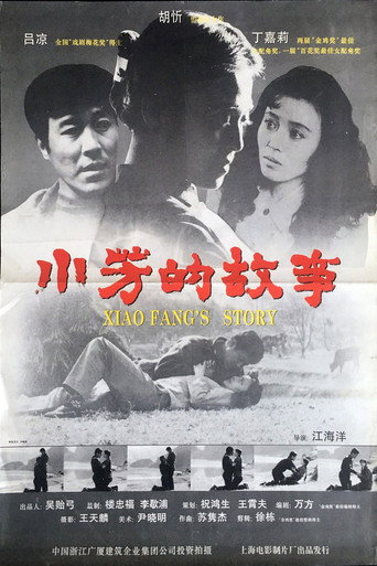 小芳的故事海报