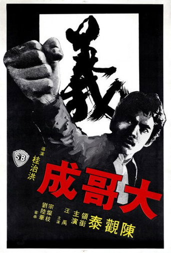大哥成海报
