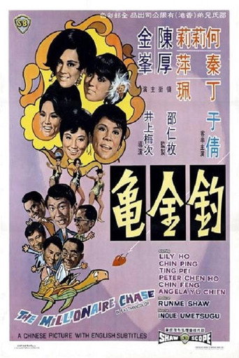 钓金龟海报