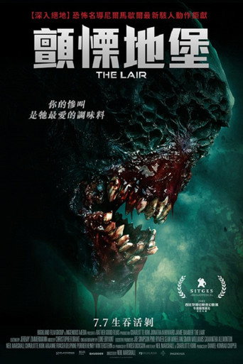 巢穴海报
