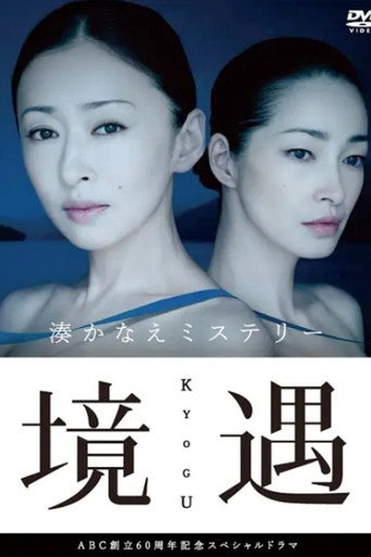 境遇海报