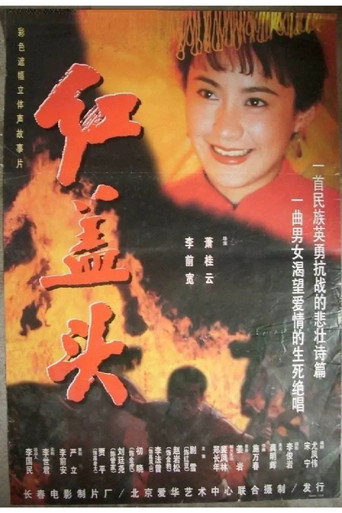 红盖头海报