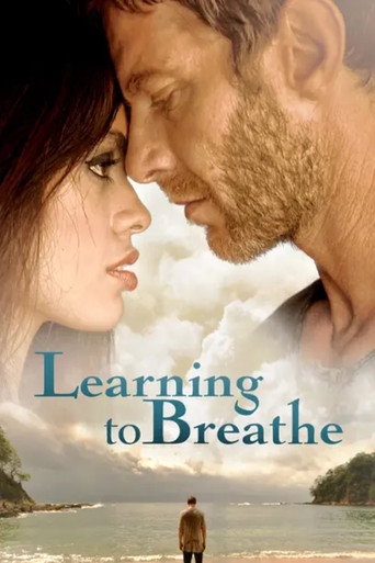 又见初恋海报