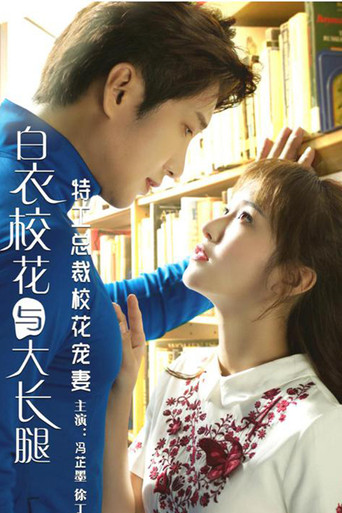 特工总裁校花宠妻海报
