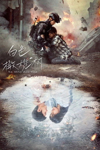 白色橄榄树海报