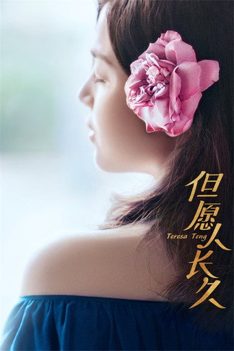 但愿人长久海报