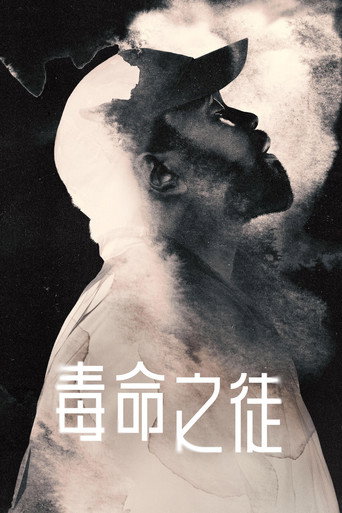 毒窃之徒海报