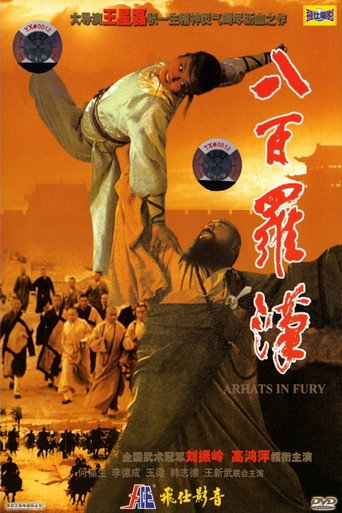 八百罗汉海报