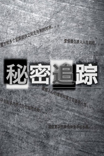 秘密追踪海报