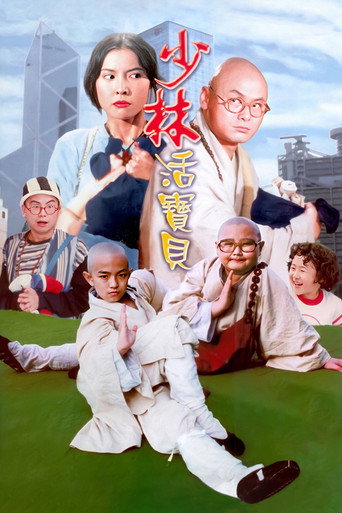 少林活宝贝海报