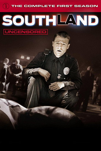 南城警事 第 1 季海报