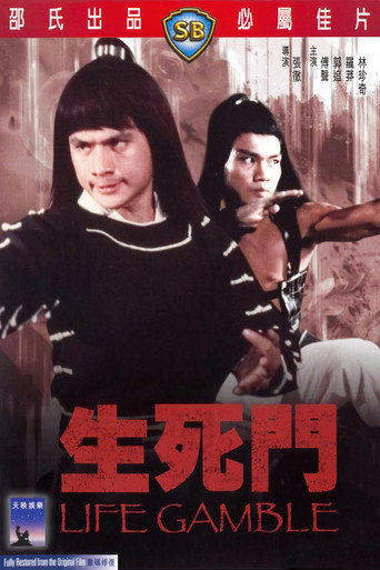 生死门海报