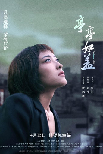 亭亭如盖海报