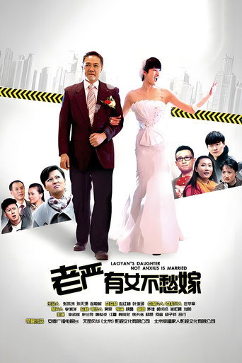 老严有女不愁嫁海报