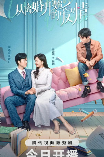 从离婚开始的爱情海报