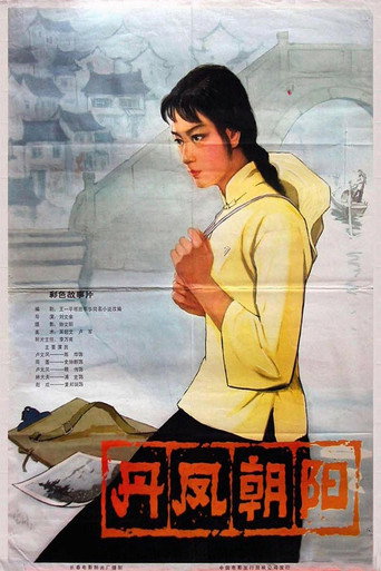 丹凤朝阳海报