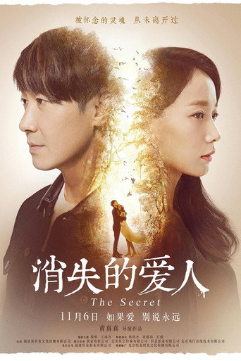 消失爱人海报