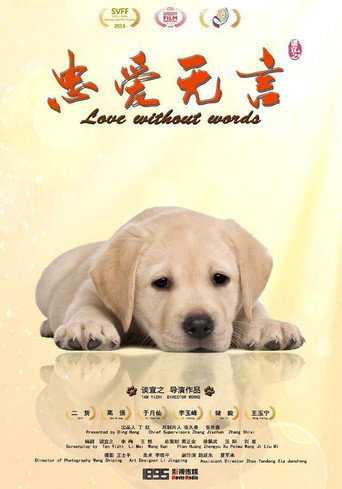 忠爱无言海报