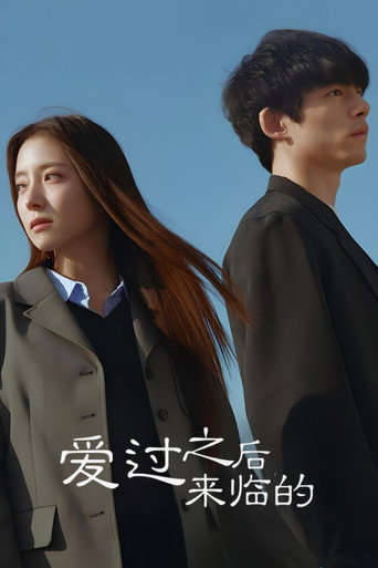 爱过之后来临的海报