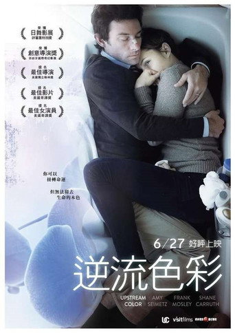 逆流的色彩海报