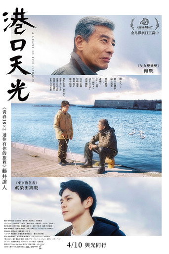 港之光海报