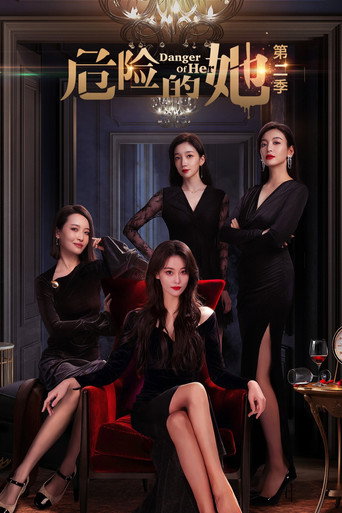 危险的她 第 2 季海报