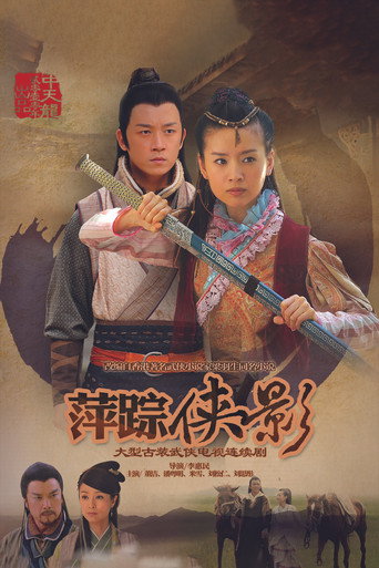 新萍踪侠影海报