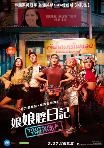 窈窕淑男的日记海报