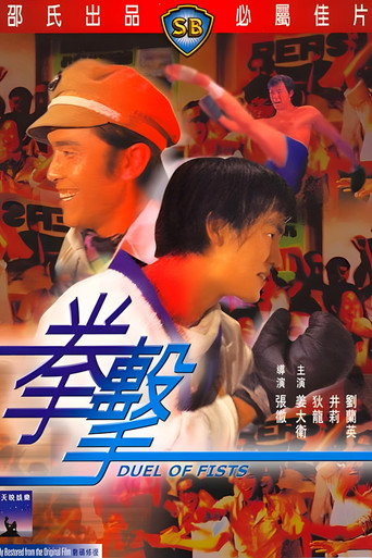 拳击海报