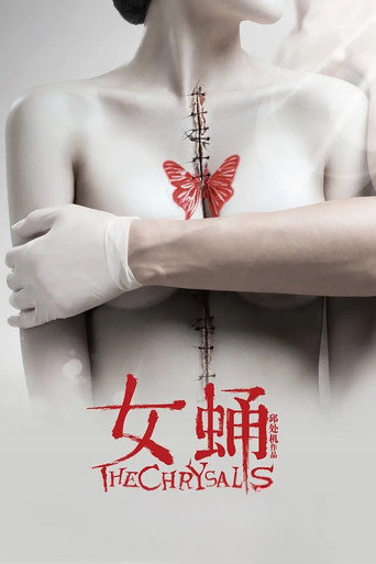 女蛹海报