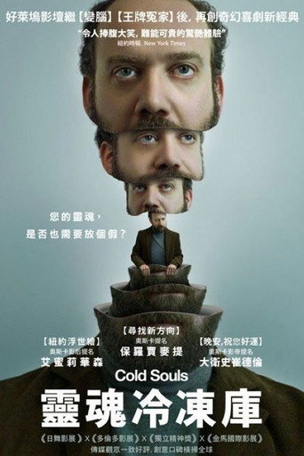 冷冻灵魂海报