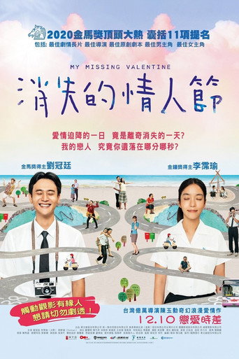 消失的情人节海报