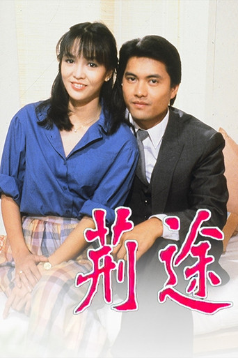 荆途海报